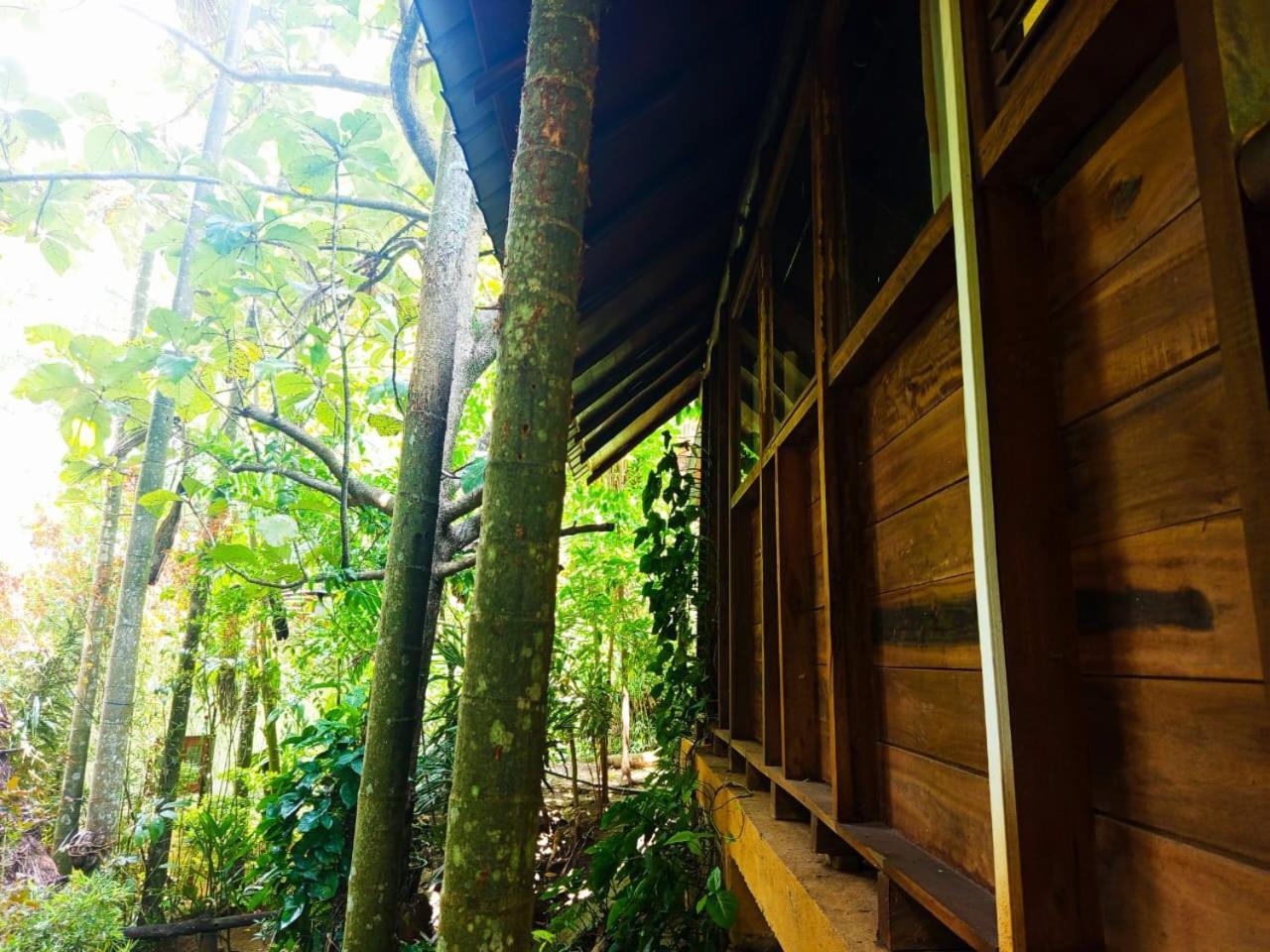 Jungle Face Inn Ella Exterior foto
